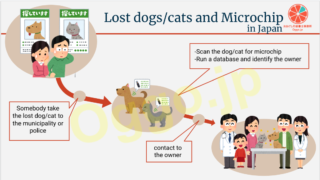 A Revision to Act on Welfare and Management of Animals - microchipping of pet dogs and cats has become mandatory