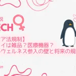 フェムテック市場におけるセックストイの法規制と参入戦略の概要図