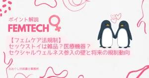 フェムテック市場におけるセックストイの法規制と参入戦略の概要図